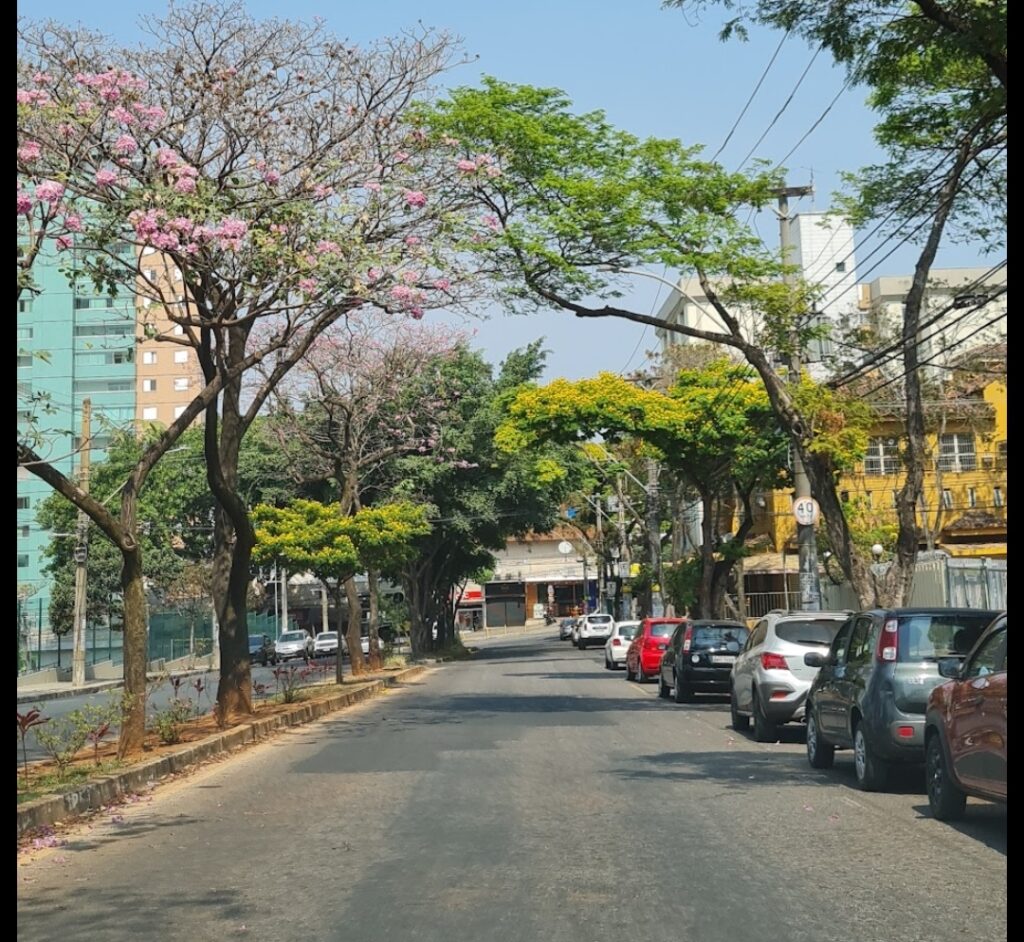 Câmara Municipal aprova mudança do nome da avenida 31 de Março