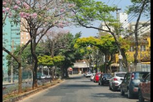 Avenida 31 de Março poderá se chamar Edgar da Mata Machado, se projeto for sancionado pelo prefeito de BH. Foto: Paulo Henrique Lobato