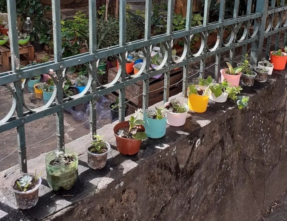 Dia das Mães terá distribuição de plantas no Padre Eustáquio